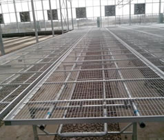 大棚溫室穴盤育苗方法總結(jié)  大棚溫室穴盤育苗方法總結(jié)